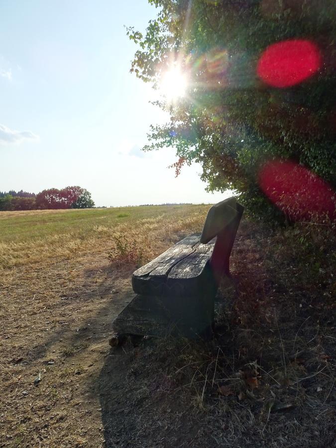 ホテル Prinz-Friedrich-August Baude Sohland an der Spree エクステリア 写真